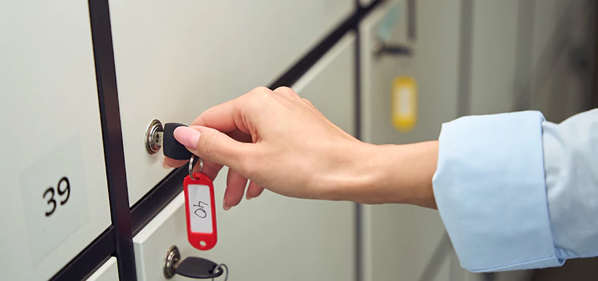 Cabinet Lock Installation in French Valley, California